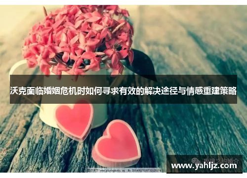 沃克面临婚姻危机时如何寻求有效的解决途径与情感重建策略